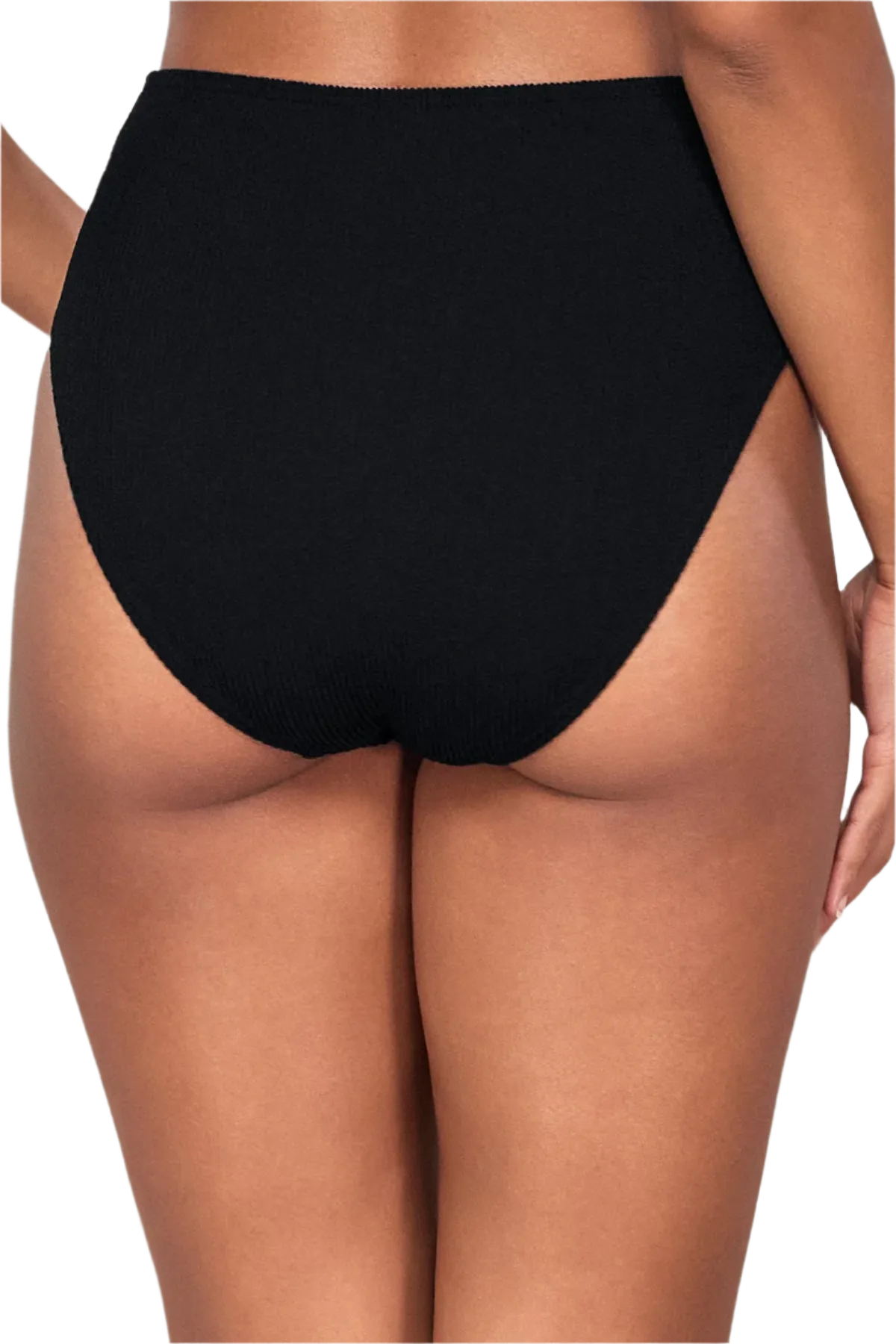 Pacifica Astrid High Waist Bikini Bottom - Black Pacifica